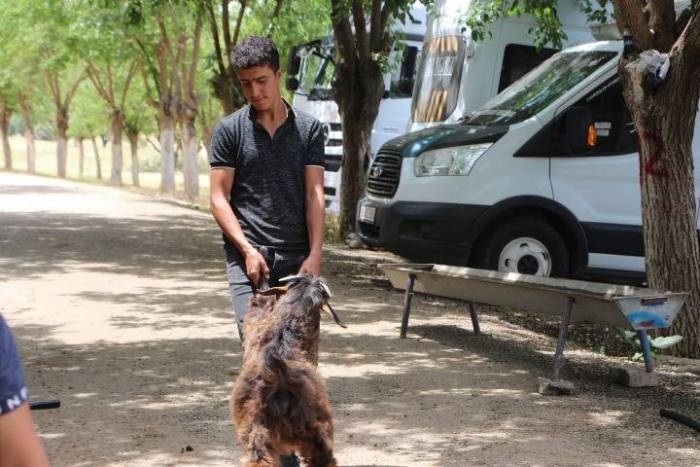 Kurban Bayramı Öncesi Hayvan Pazarlarında Hareketlilik
