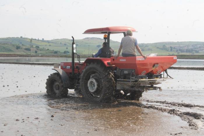 Manyas’ta Çeltik Ekimleri Başladı