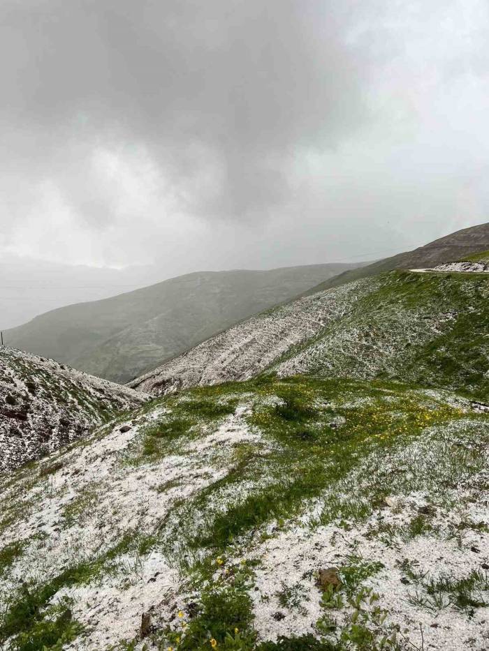 İliç’te Sağanak Ve Dolu Yağışı Etkili Oldu
