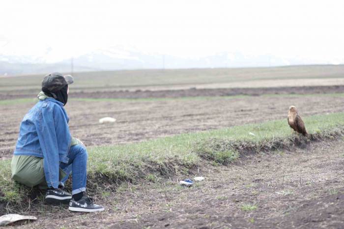 Kuş Gözlemcisi İle Kızıl Şahinin Dostluğu