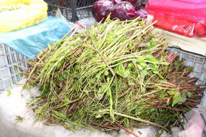 Kırçan Otu Pazara İndi