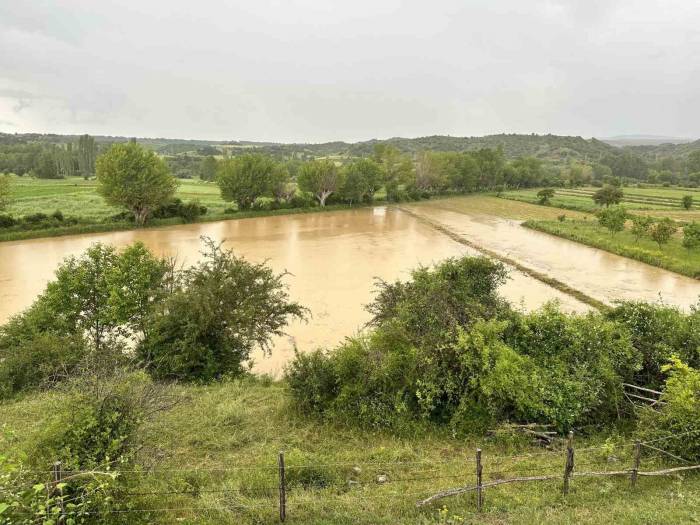 Kuvvetli Sağanak Tarım Arazilerini Göle Çevirdi, Yollar Zarar Gördü