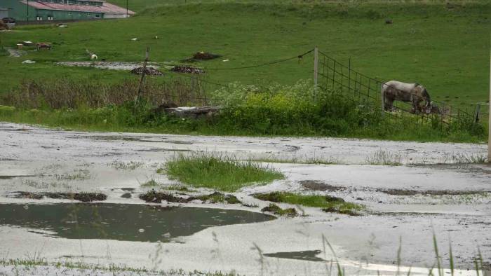 Dolu Yağışı Sonrası Her Yer Beyaza Büründü