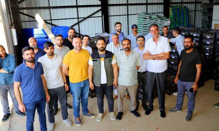 Bingöl’de 170 Bin Adet Çilek Fidesi Dağıtıldı