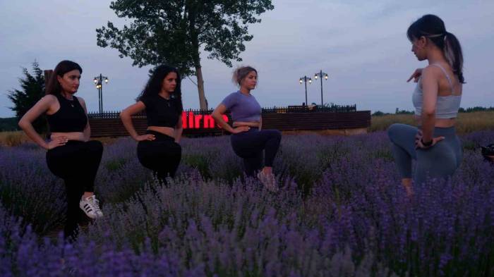 Lavanta Tarlasında Gün Batımı Eşliğinde Yoga