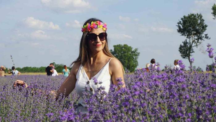 Edirne’de ’lavanta Tarla Günleri’ Renkli Görüntülerle Başladı