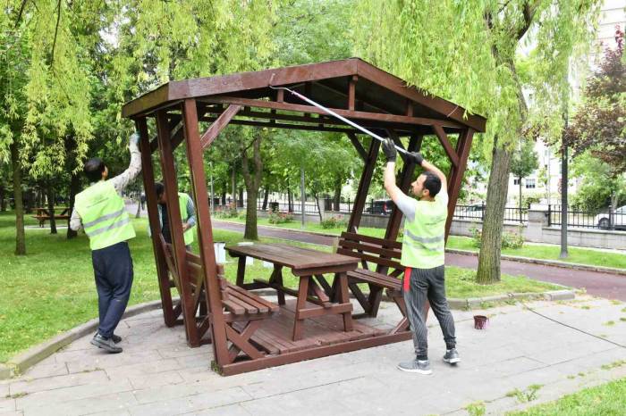 Parklar Çiçek Ve Bitkilerle Süsleniyor