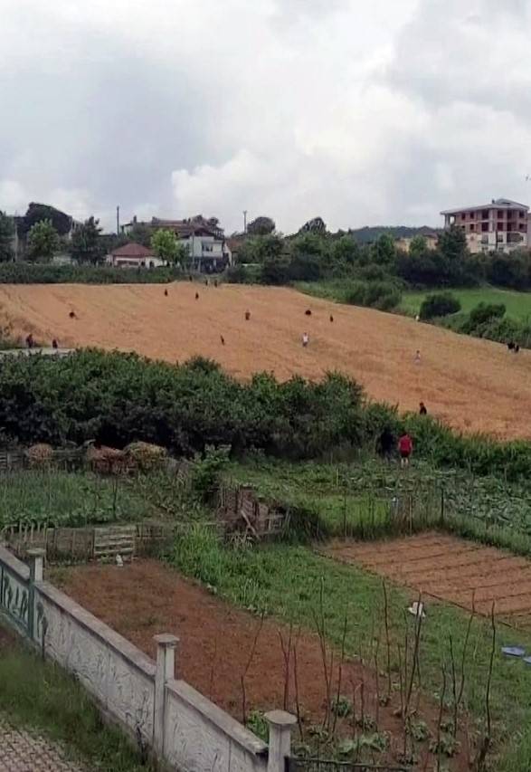 Cezaevine Götürüldüğü Esnada Firar Etti, Ortalık Karıştı