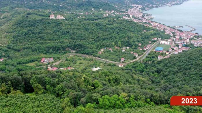 Çöp Dağından Yeşil Ormana