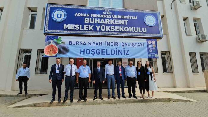 Taze İncirde Erkenciliği İle Buharkent Rakip Tanımıyor