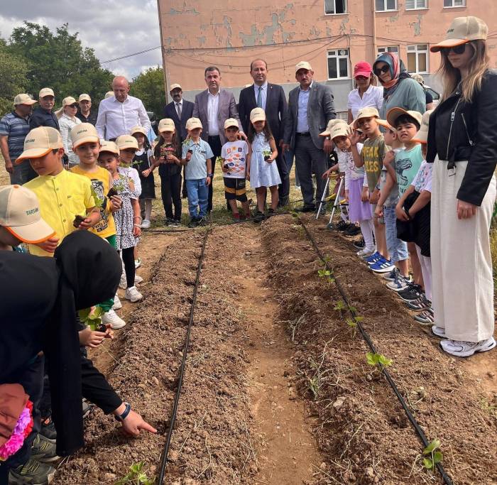 Okulda Çilek Dikmeyi Öğrendiler