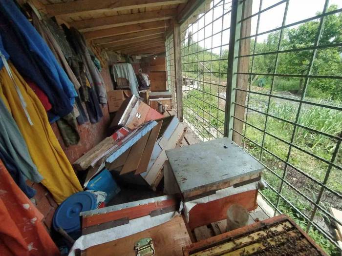 Tüm Tedbirler Ayıyı Durdurmadı, Kovanları Parçalayan Ayı Geride Pençe İzlerini Bıraktı