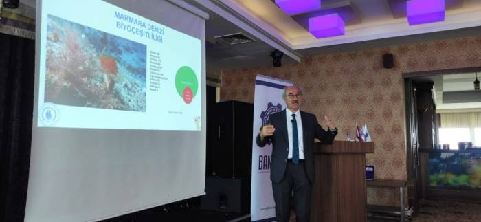 Prof. Dr. Sarı: "marmara Denizi’nde Balık Türlerimiz Azaldı, Habitat Kayıpları Yaşanıyor"