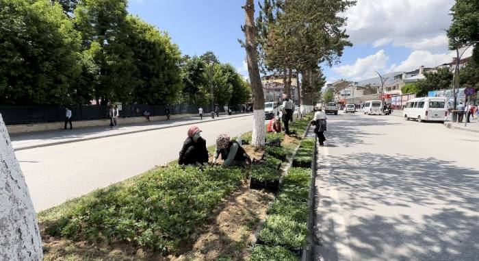 Tatvan Kadın Eliyle Güzelleşiyor