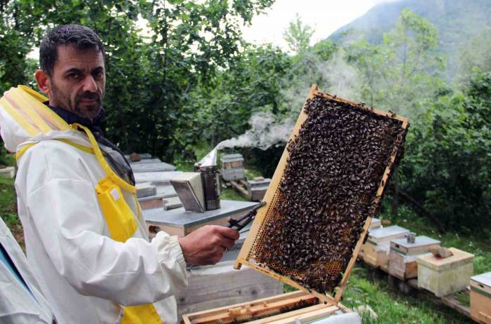 Arılar Yağışlı Hava Şartlarından Olumsuz Etkilendi, Bal Rekoltesinde Düşüş Bekleniyor