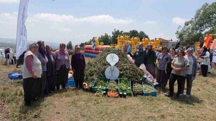 Kadın Çiftçilerin Yetiştirdiği Arakanın İlk Hasadı Yapıldı