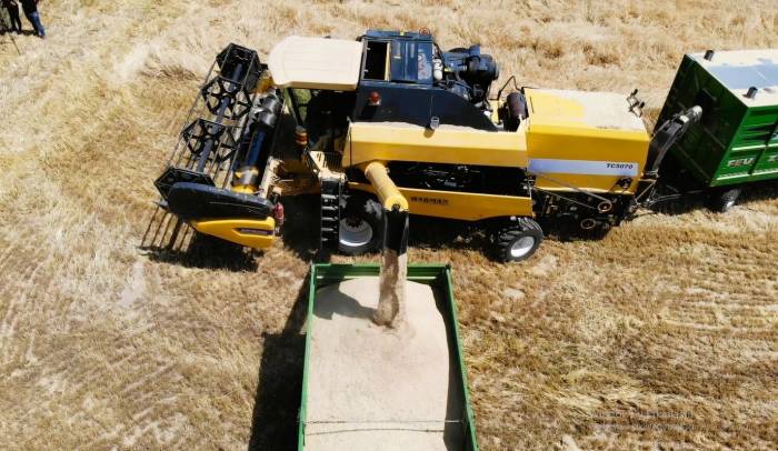 Malatya’nın ‘çukurovası’nda Bu Yıl Hububat Bolluğu Var