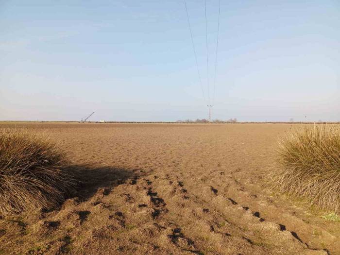 Türkiye’nin Yüzde 22,5’i Yüksek Çölleşme Riski Altında