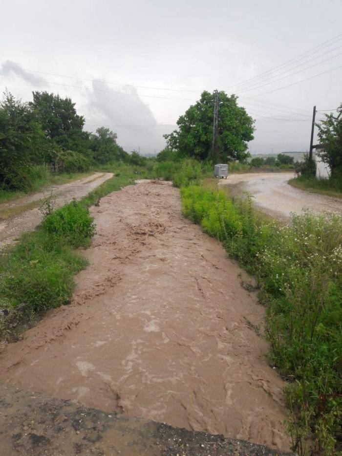 Yağmur Yağdı, Dereler Taştı