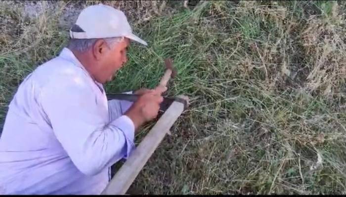 Elazığ’da Köylülerin Ot Biçme Mesaisi Başladı