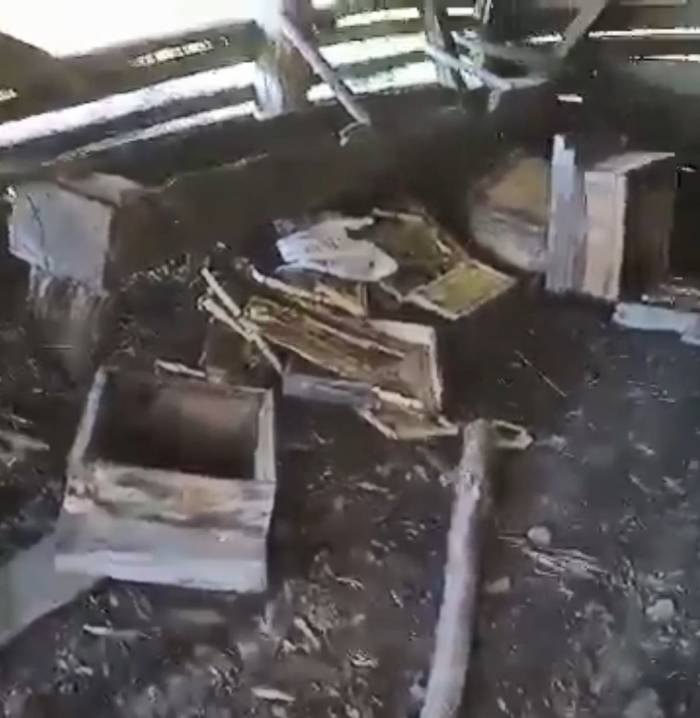 Aç Kalan Ayı Arı Kovanlarını Parçaladı