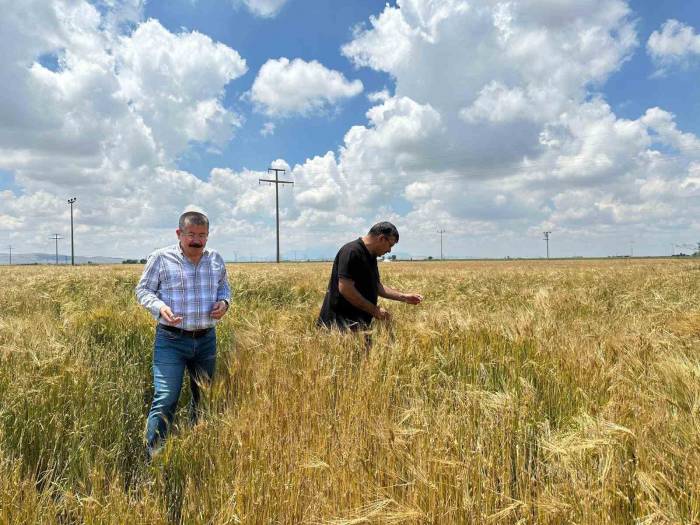 Karapınar’da Yoğun Yağış Alan Tarım Alanları İncelendi