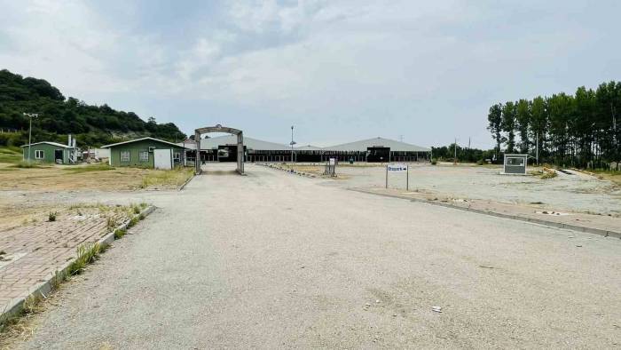 Bursa’daki Hayvan Pazarlarında Şap Karantinası