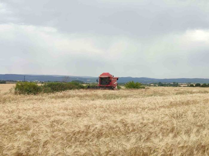 Öğrencilerin Yetiştirdiği İlk Arpa, Salonda Satıldı