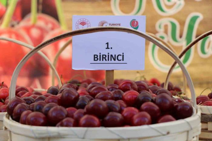 Amasya Kiraz Üretiminde Türkiye Üçüncüsü