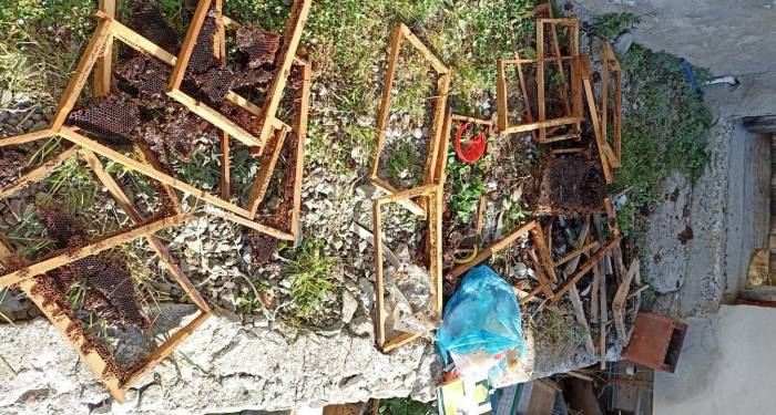 Trabzon’un O İlçesinde Ayı Kabusu Sürüyor