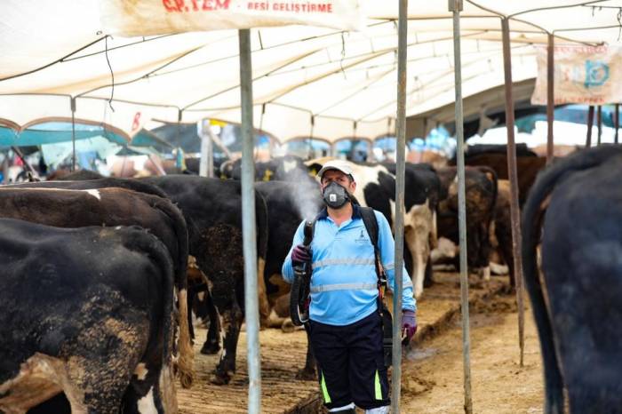 Bayraklı Belediyesi Kurban Bayramı’na Hazır