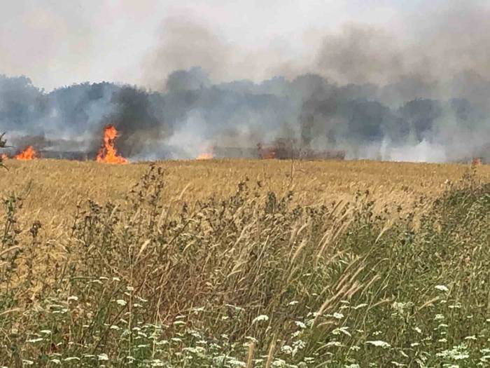 Çanakkale’de 45 Dönüm Tarım Arazisi Yanarak Kül Oldu