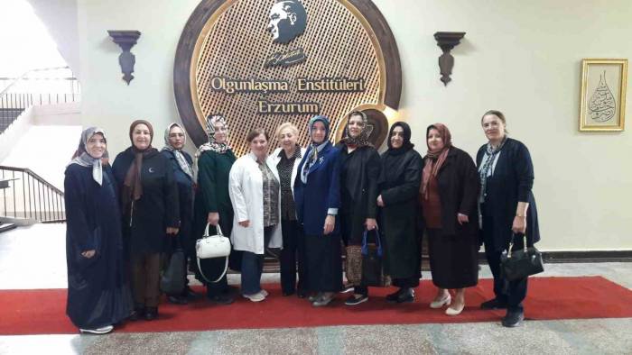 Ervak’tan Olgunlaşma Enstitüsü’ne İşbirliği Çağrısı
