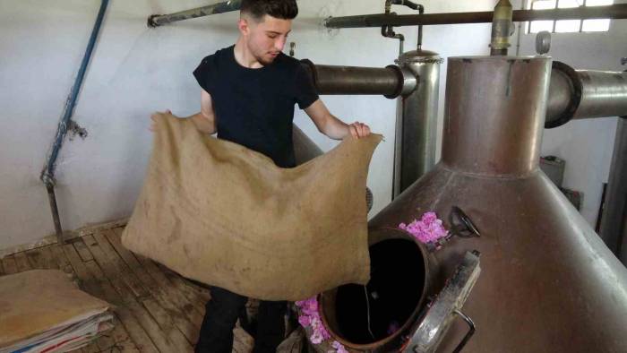 15 Milyon Gül Yaprağından Çıkıyor, Litresi 10 Bin Euroya Kadar Alcı Buluyor