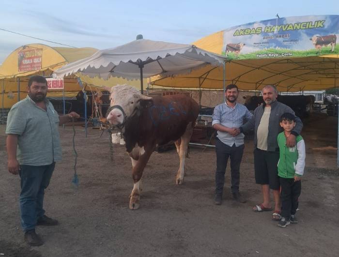 Dev Dana 135 Bin Liradan Alıcı Buldu