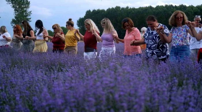 Onlarca Kişi Aynı Anda Lavanta Tarlasında Halay Çekti, Oyun Oynadı