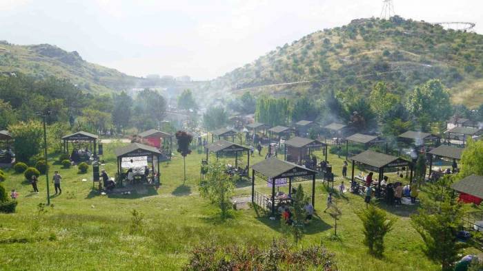Piknikseverlerin Adresi Kartaltepe Mesire Alanı