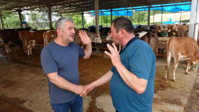 Ordu’da Besicilerin Gözü 9 Günlük Bayram Tatilinde