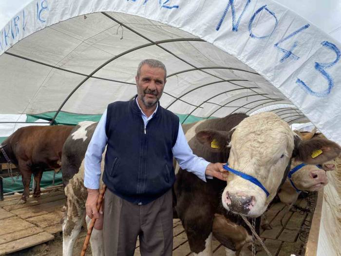 Kurban Pazarında Satışlar Hızla Devam Ediyor