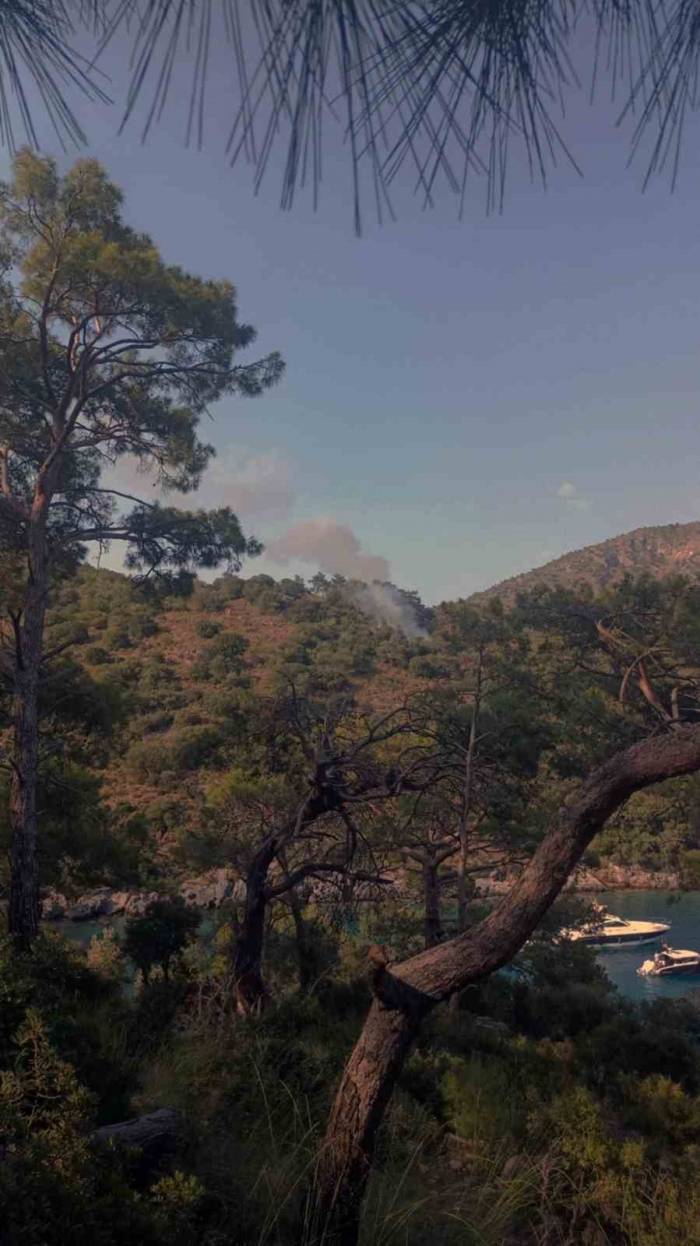 Fethiye’de Orman Yangını