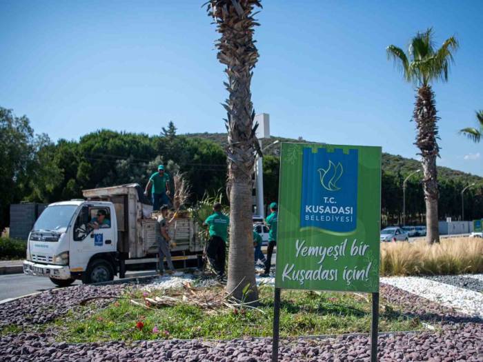 Kuşadası’nda Yeşil Seferberlik Sürüyor