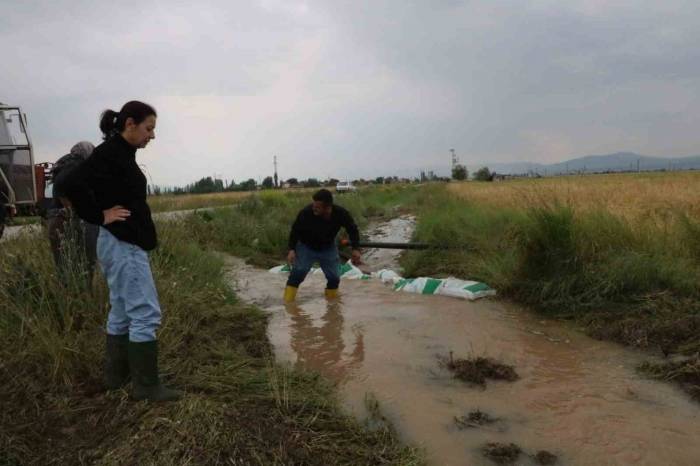 Sandıklı’da Sağanak Yağış Tarım Arazilerine Zarar Verdi