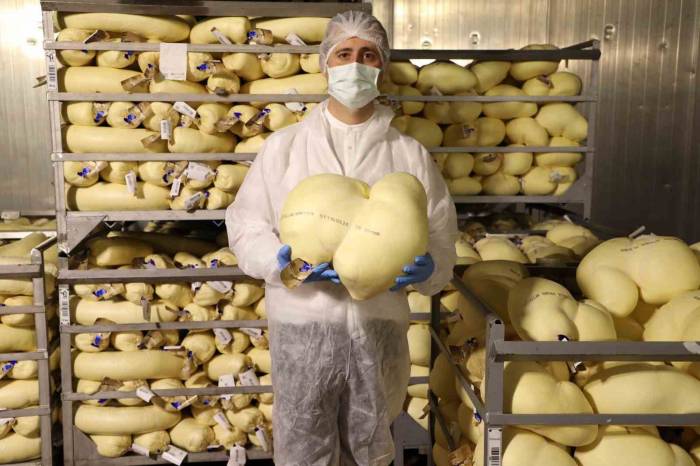 Denizli’nin Tarihten Gelen Mirasını Yaşatıyorlar