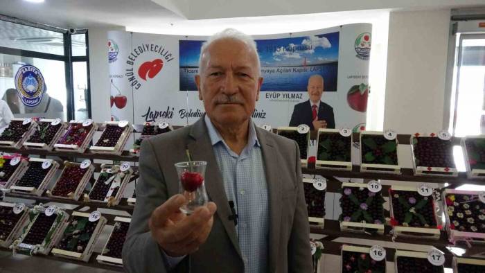 Lapseki’nin Bardağa Sığmayan Şampiyon Kirazı Belli Oldu