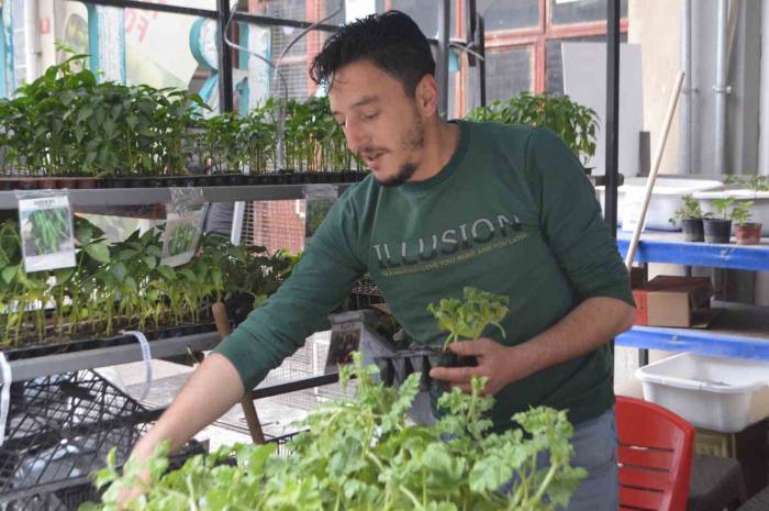 Tavşanlı’da Havaların Isındı, Fide Satışları Arttı