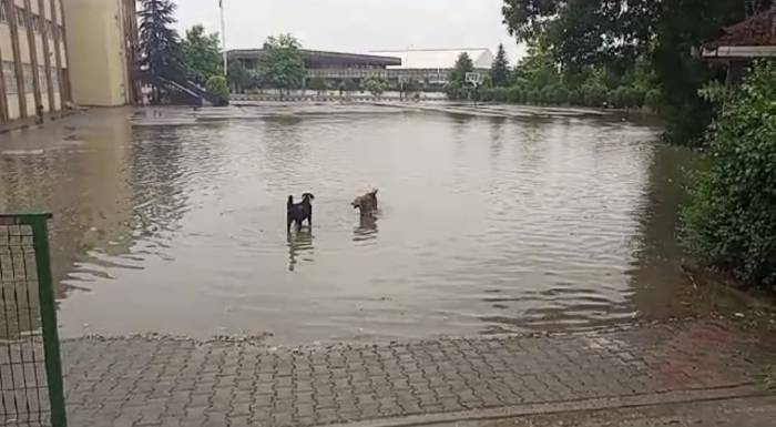 Yolu Su Bastı, Esnaf İse Sandalyesini Alıp Keyif Yaptı