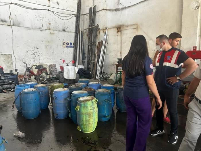 Yasadışı Yollarla Avlanan Deniz Patlıcanları Denize Salındı