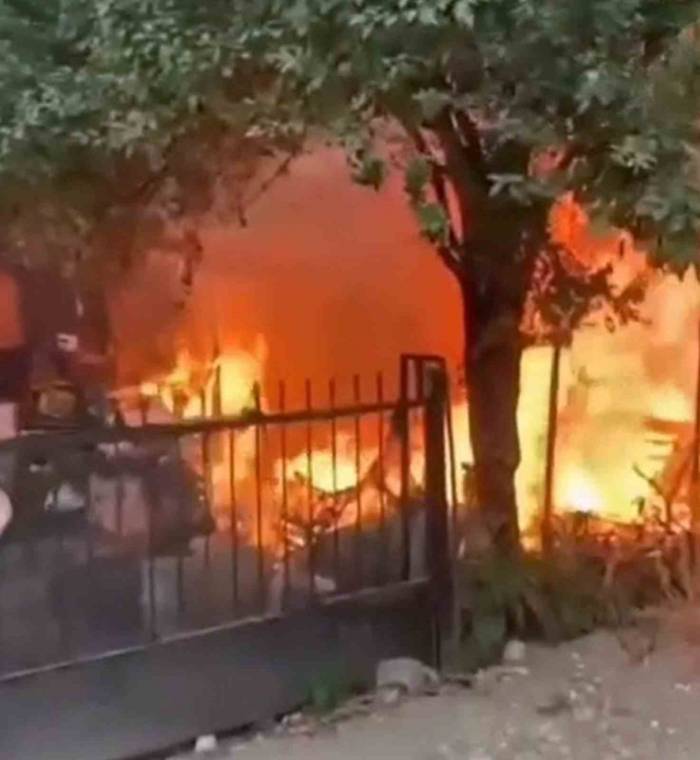 Yanan Evden Yavru Kedi Kurtarıldı