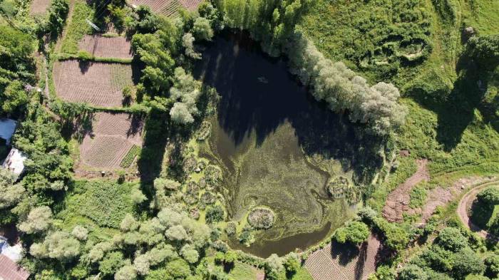 Yüzen Adacıklar Keşfedilmeyi Bekliyor