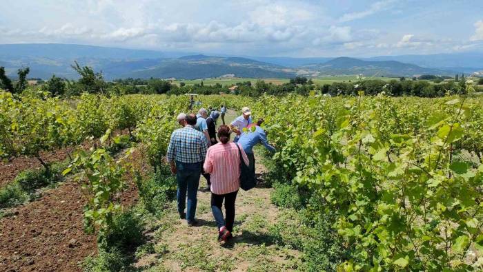 Akademisyenler Bağ Üreticileri İle Buluştu
